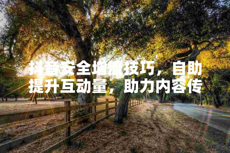 抖音安全增流技巧，自助提升互动量，助力内容传播更广。