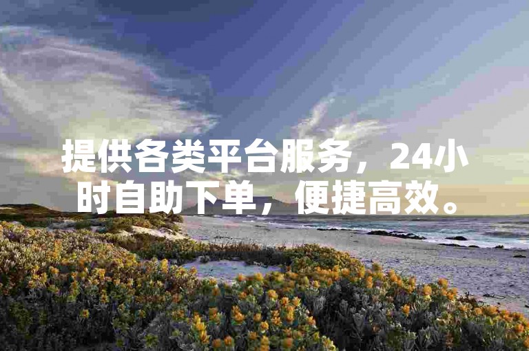 提供各类平台服务，24小时自助下单，便捷高效。