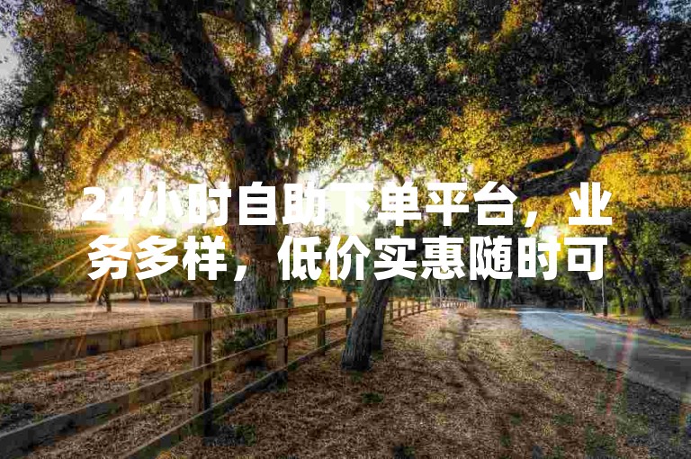 24小时自助下单平台，业务多样，低价实惠随时可操作。