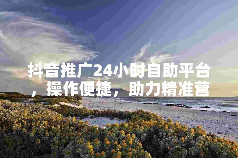 抖音推广24小时自助平台，操作便捷，助力精准营销。
