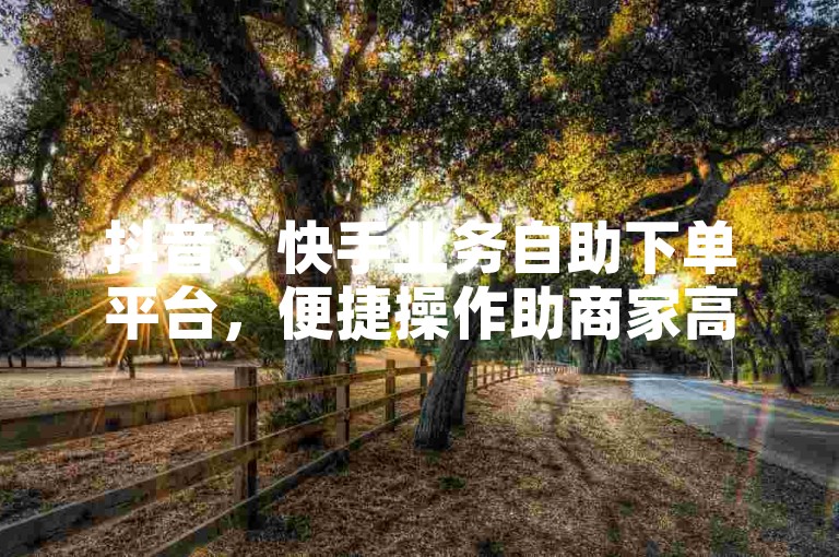 抖音、快手业务自助下单平台，便捷操作助商家高效管理。