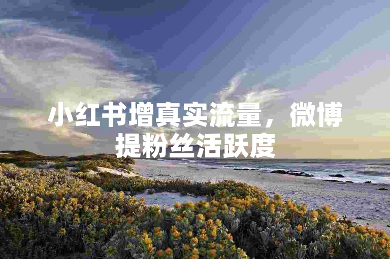 小红书增真实流量，微博提粉丝活跃度