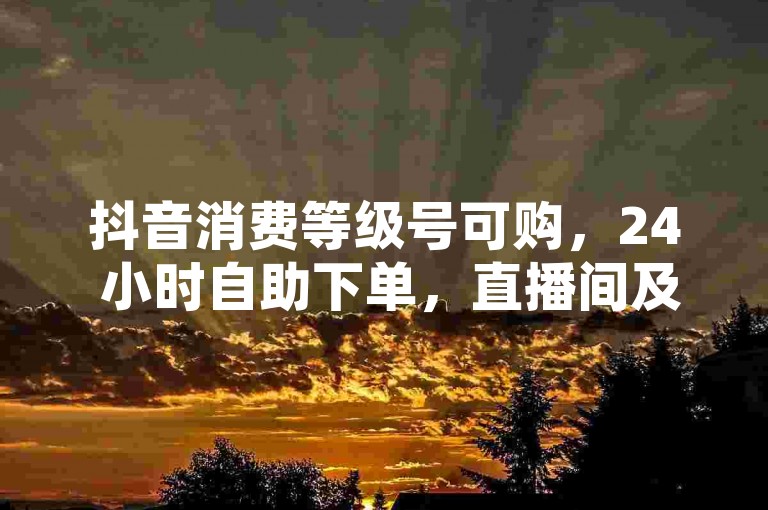 抖音消费等级号可购，24 小时自助下单，直播间及云商城均可操作。