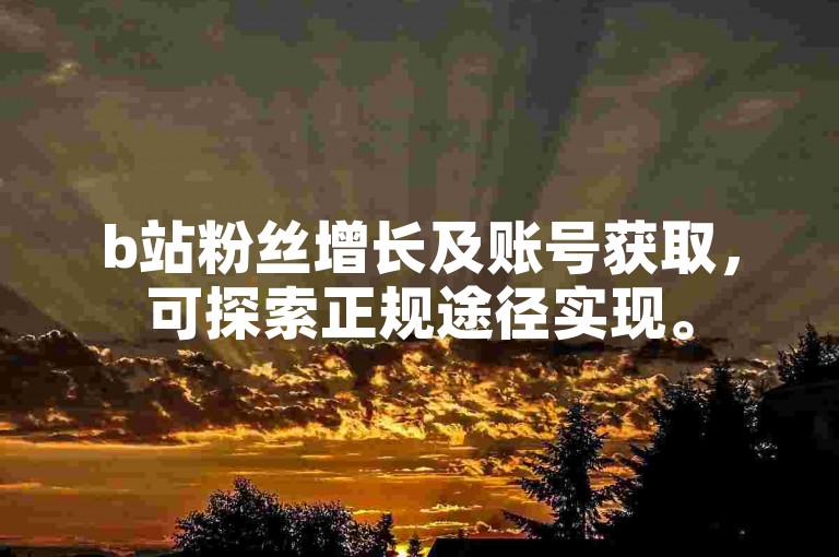 b站粉丝增长及账号获取，可探索正规途径实现。