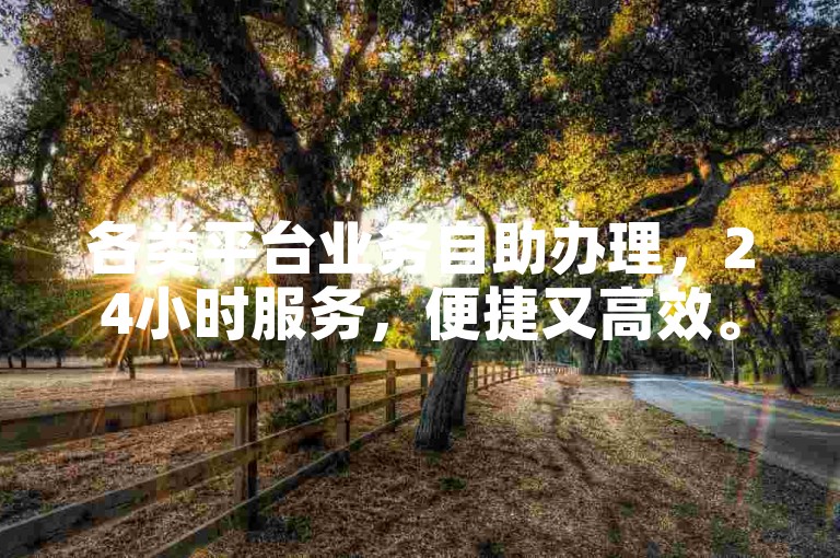 各类平台业务自助办理，24小时服务，便捷又高效。