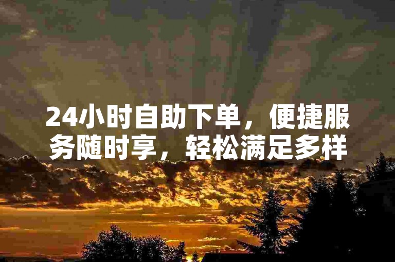 24小时自助下单，便捷服务随时享，轻松满足多样需求。