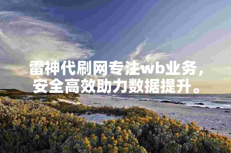 雷神代刷网专注wb业务，安全高效助力数据提升。
