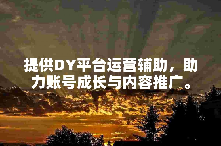 提供DY平台运营辅助，助力账号成长与内容推广。
