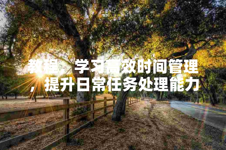 教程，学习高效时间管理，提升日常任务处理能力。
