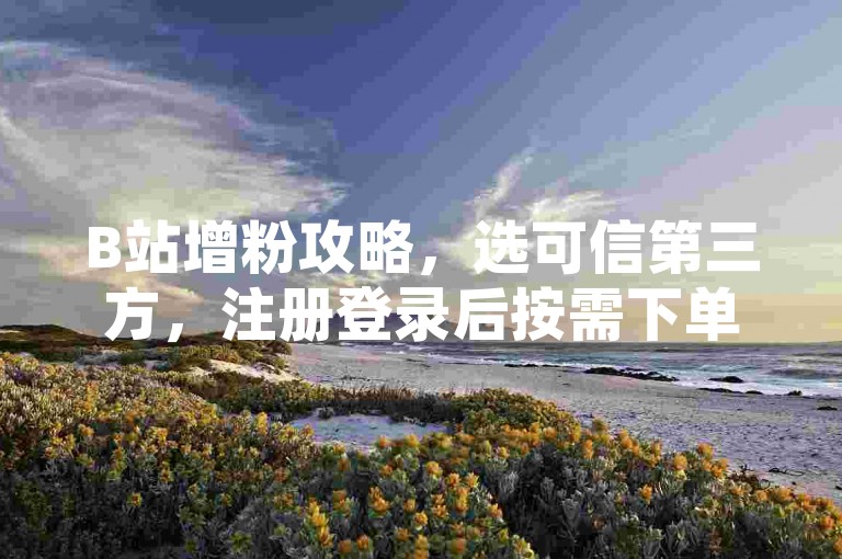 B站增粉攻略，选可信第三方，注册登录后按需下单。