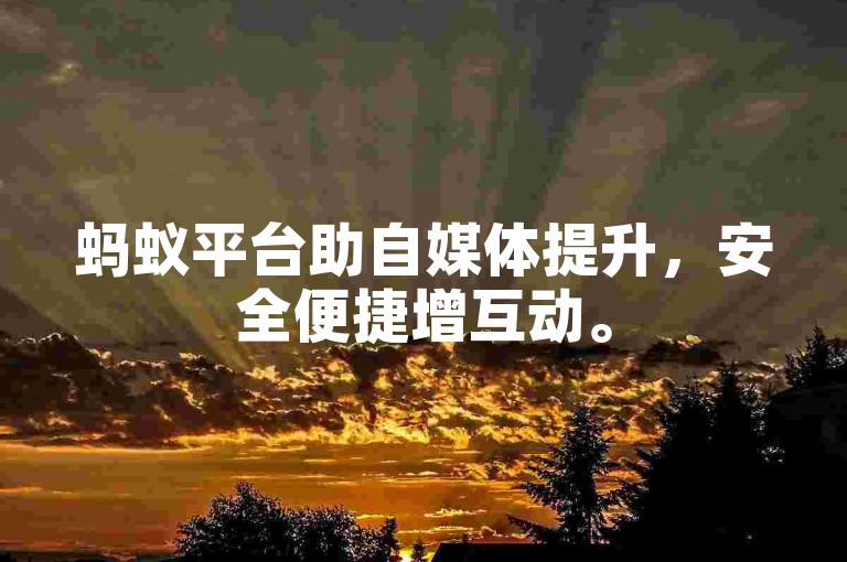 蚂蚁平台助自媒体提升，安全便捷增互动。