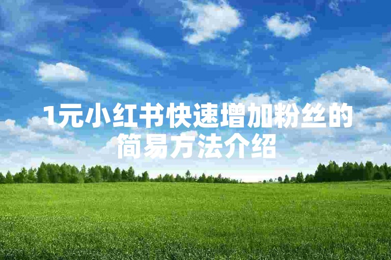 1元小红书快速增加粉丝的简易方法介绍