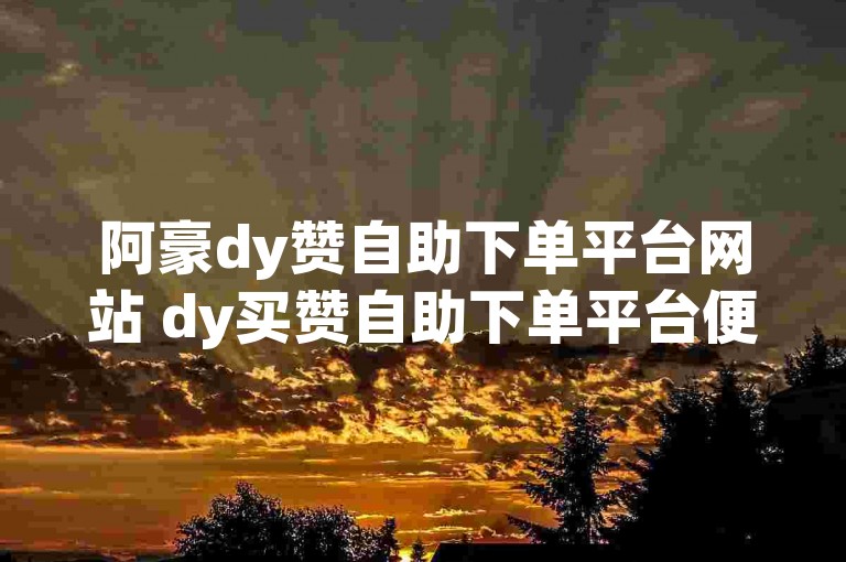 阿豪dy赞自助下单平台网站 dy买赞自助下单平台便宜